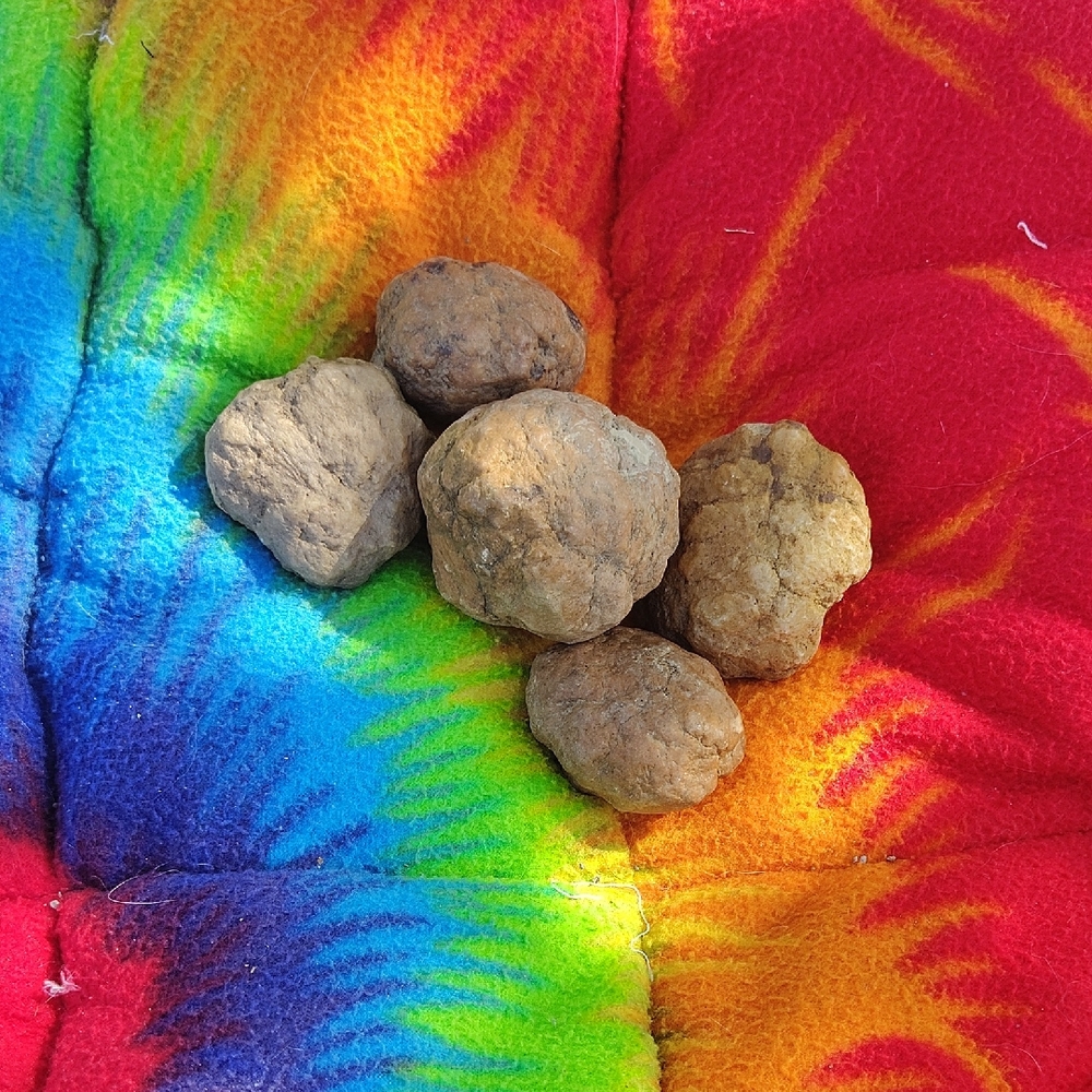 Natural Earthy Stones
